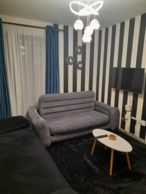 Executive 1 bedroom-Trm/Thika Road-(+254706119521)